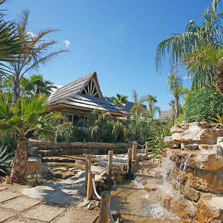 La Toison D'or Et Saint-Tropez