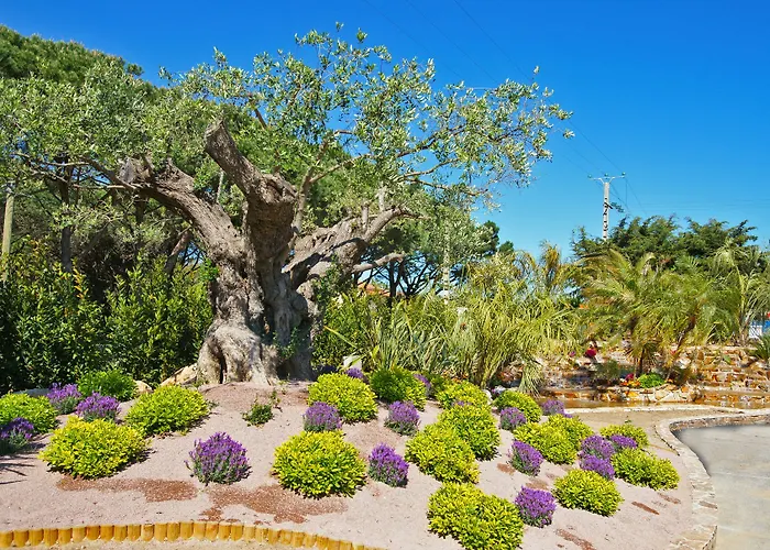 La Toison D'or Et Hotel