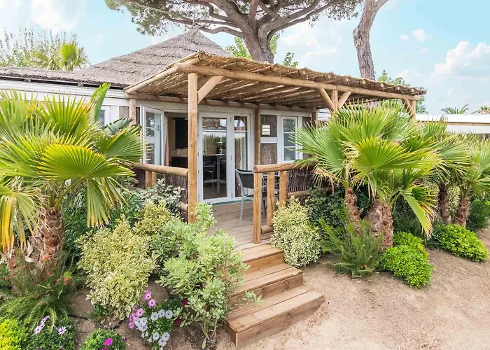 La Toison D'or Et Saint-Tropez