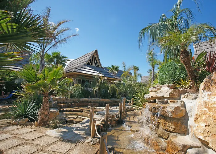 La Toison D'or Et Saint-Tropez